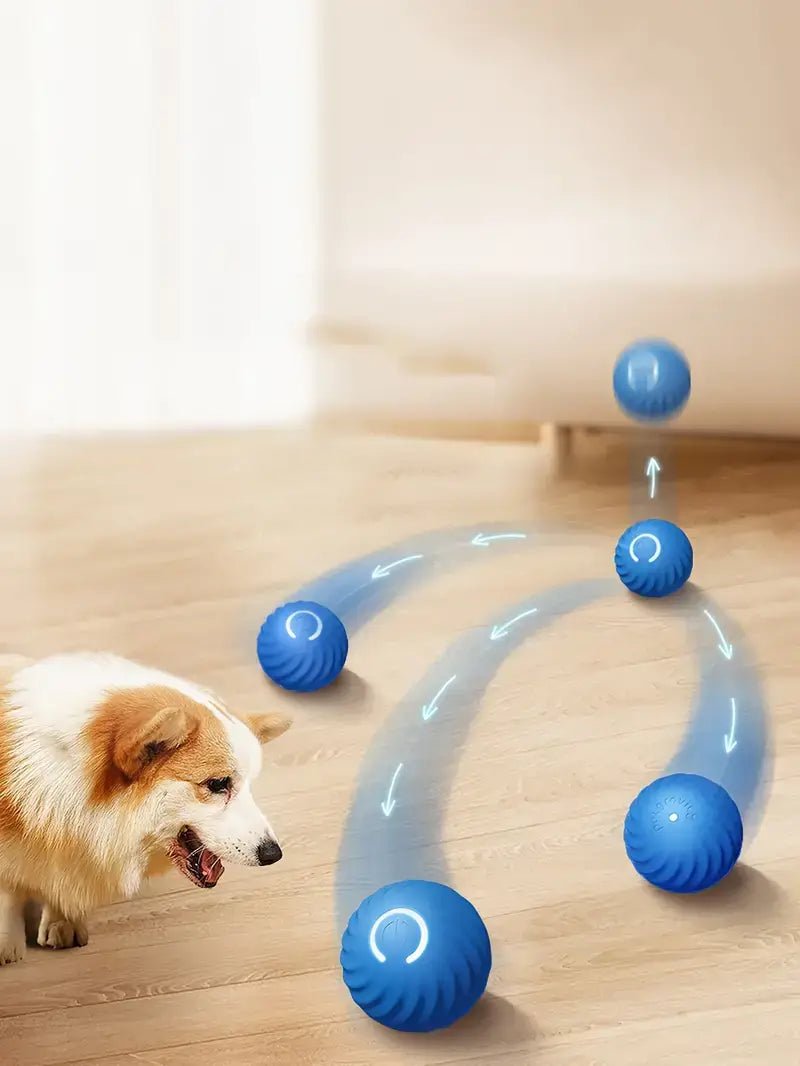 DuraBall™ – Durable Automatic Rolling Ball Toy 🐾