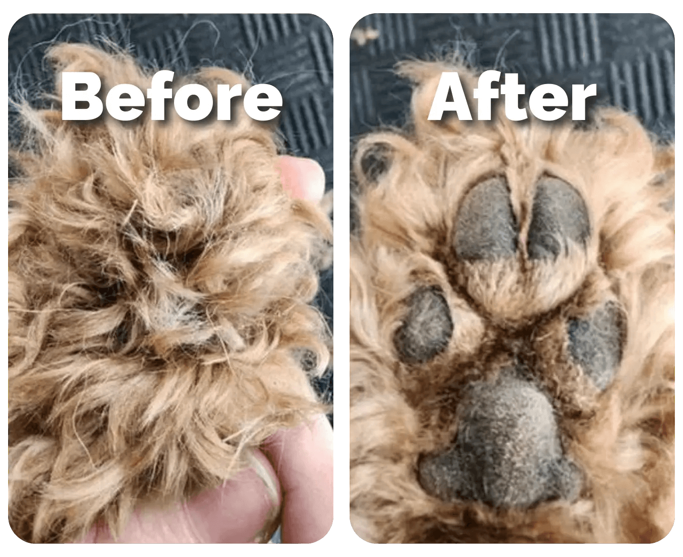 SereniTrim™ – Pet Precision Trimmer