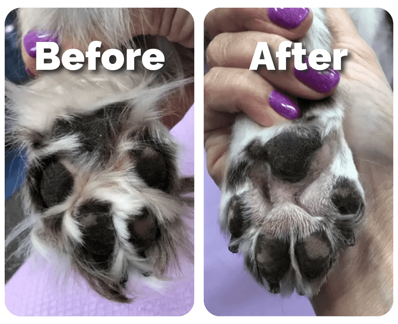 SereniTrim™ – Pet Precision Trimmer