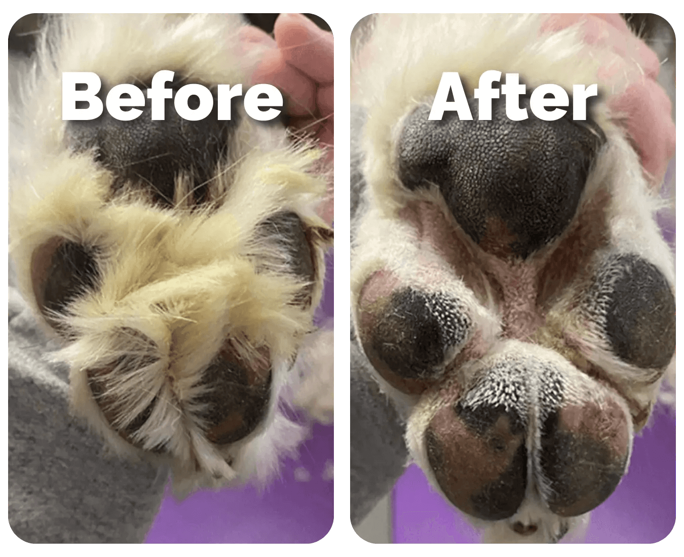 SereniTrim™ – Pet Precision Trimmer
