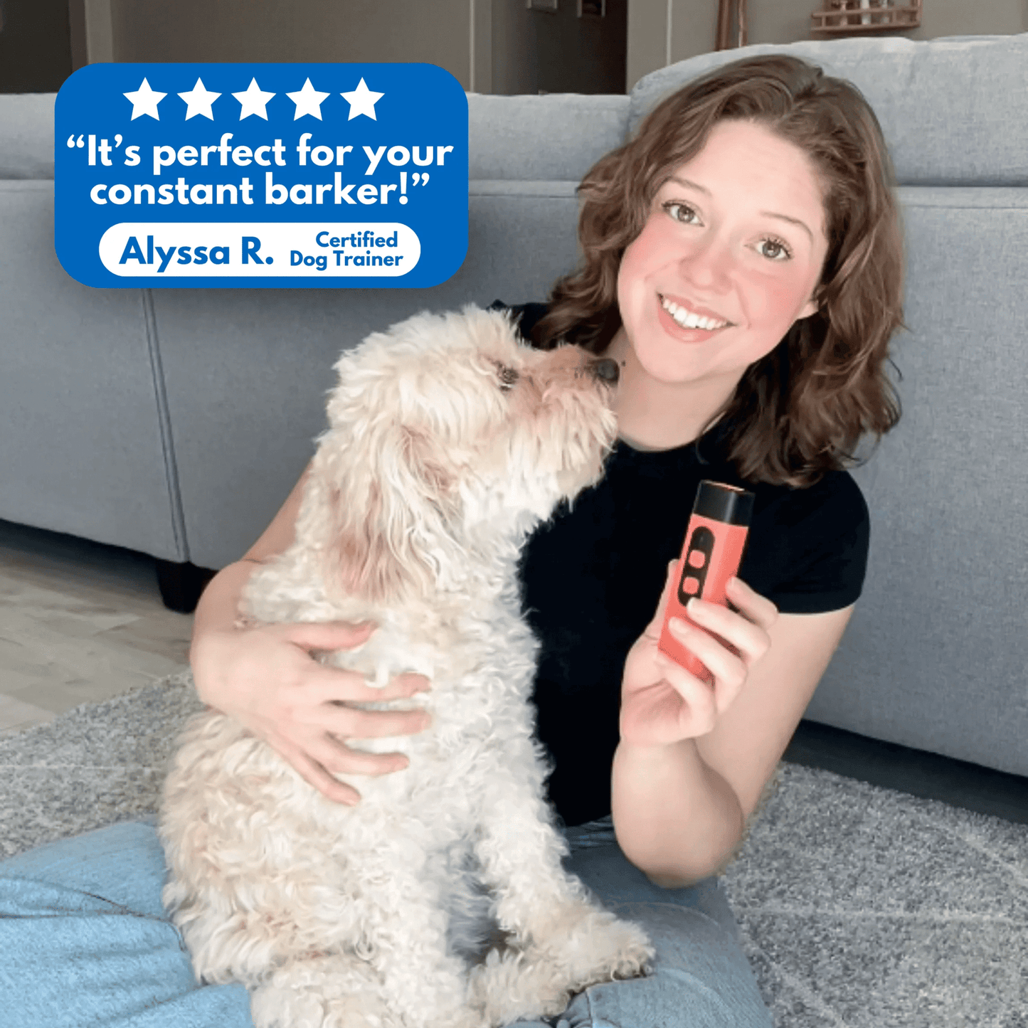 Ultrasonic Dog Bark Deterrent